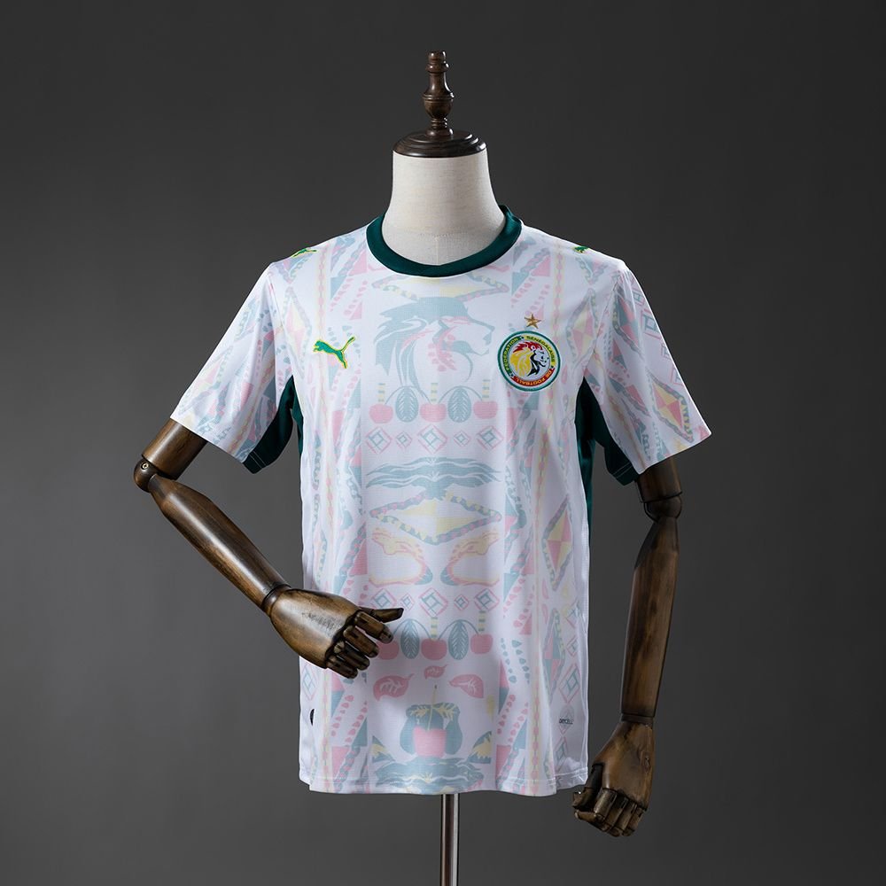 2026 Senegal Home